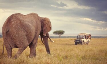 Safari en Kenia viajes de lujo