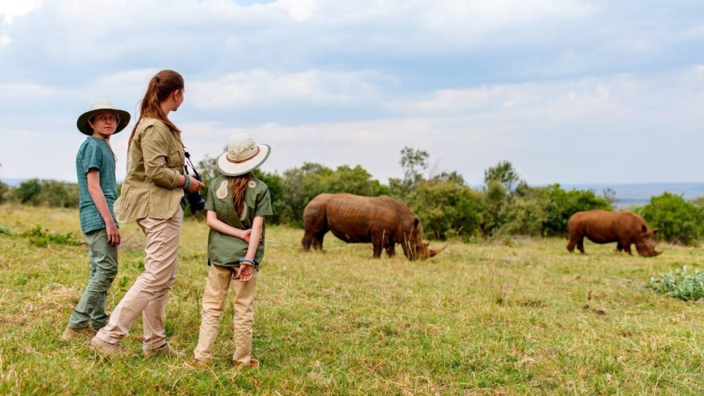 tanzania safari