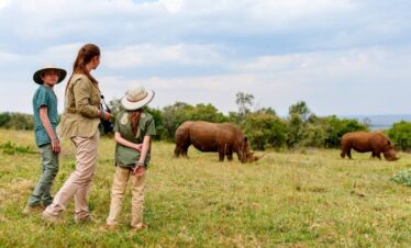 tanzania safari
