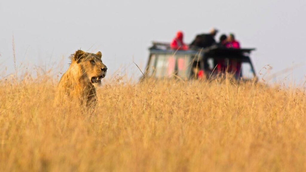 leona tanzania