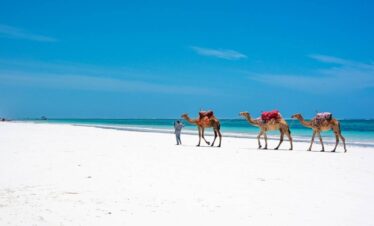playa kenia