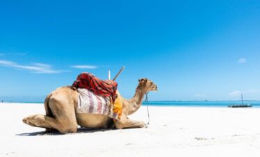 diani kenia playa